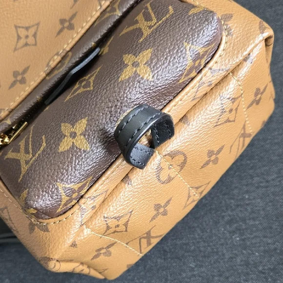 Louis Vuitton Palm Springs Mini In Reverse Monogram - Picture 4 of 7